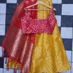 Lehenga Made from Banarasi Saree