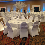 Rent Spandex Chair Covers