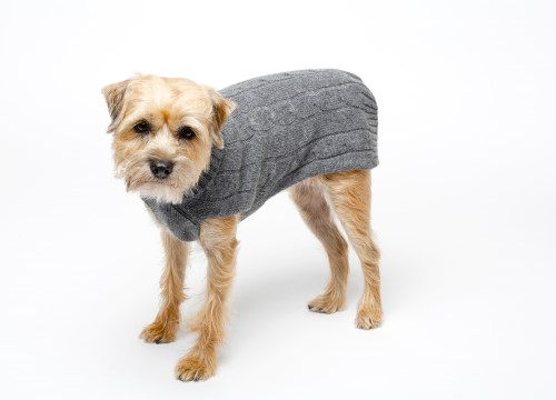 Cashmere Sweater for Dog - Buy and Slay
