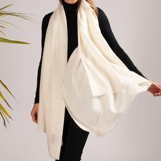 Fashionable Cashmere Elegant Shawls Wrap A refined Look on those cool evenings 