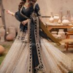 Pakistani Dresses For Wedding