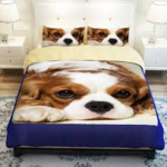 Bed Sheets for Dogs