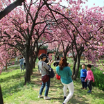 What to wear on spring time in korea