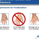 Which item is a food handler permitted to wear on hands and arms
